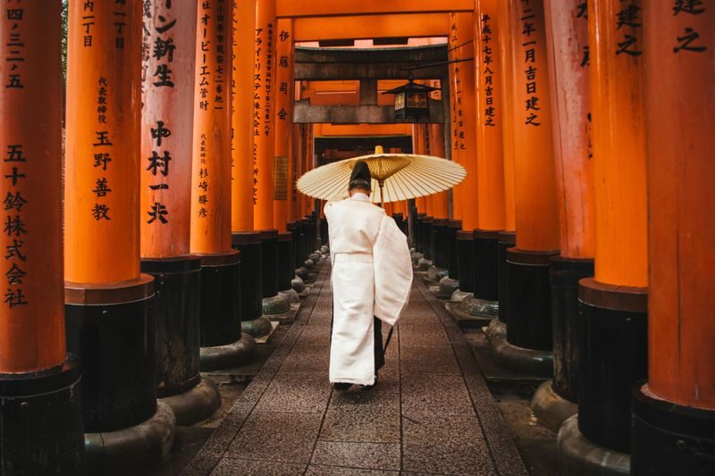 Kyoto Luxury Private Car Charter - Exploring Japanese Style - Who should book this Kyoto charter?
