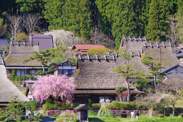 Kyoto Miyama Light-up, Amanohashidate Tour from Osaka - Who will get the most from this outing
