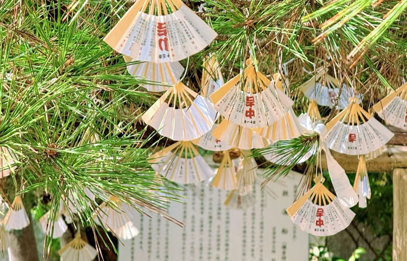 Kyoto Miyama Thatched Village & Amanohashidate & Ine Funaya One-Day Tour [Limited Miyama Water Release Ceremony/Snow Lantern Lighting] | Depart from Osaka - Who should book this day trip?