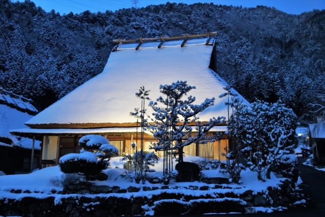 Kyoto Miyama Thatched Village Winter Lanterns Tour from Osaka - Ine Bay from the sightseeing boat