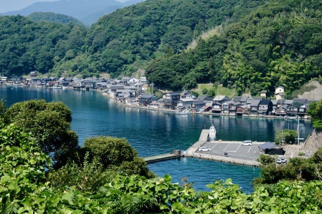 Kyoto Miyama Thatched Village Winter Lanterns Tour from Osaka - Who should book this tour?
