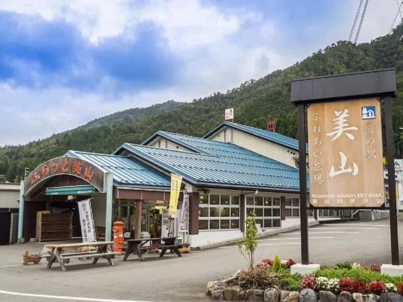 Kyoto: Miyama Village, Amanohashidate & Ine Bay Day Trip - An Authentic Look at Japan’s Coastal and Mountain Highlights