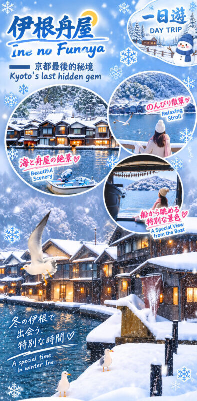 Kyoto Miyama Winter Lantern Festival Illumination & Amanohashidate & Ine Funaya Boat Tour One-Day Trip - Amanohashidate: a sandbar from above