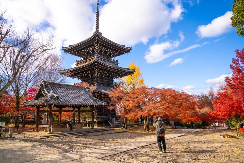 Kyoto Morning City Highlights Small Group Tour - Arashiyama is the clearest reason to consider it