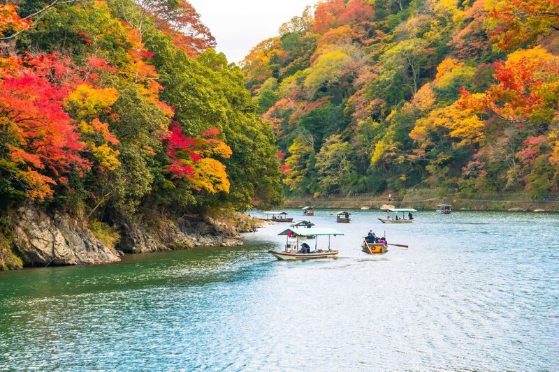 Kyoto Morning City Highlights Small Group Tour - The guide matters more than the label