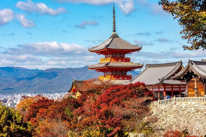 Kyoto Morning City Highlights Small Group Tour - What $69 may be worth to you