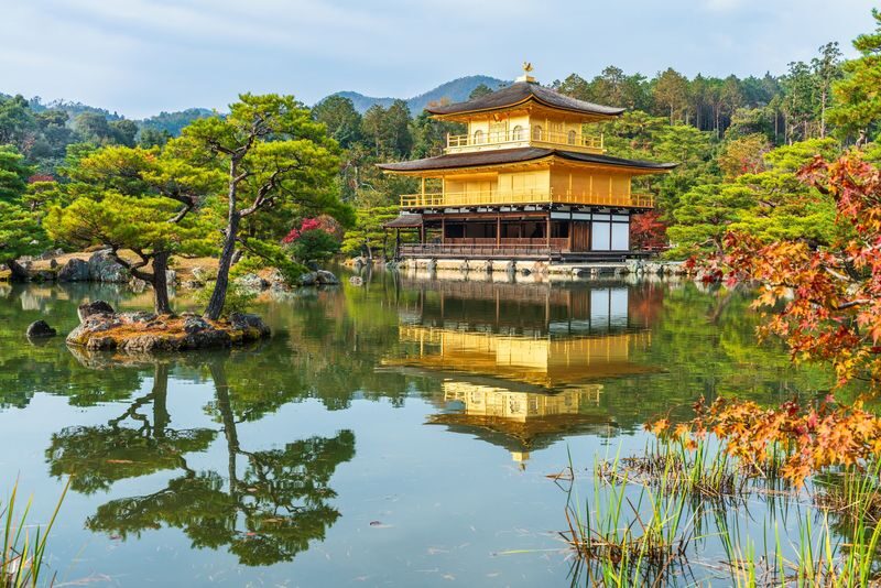 Kyoto Morning City Highlights Small Group Tour - Who may find this tour useful