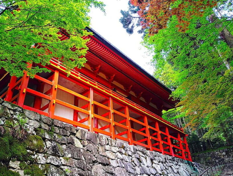 Kyoto: Mount Hiei Guided Tour  Mother of Japanese Buddhism - Good To Know