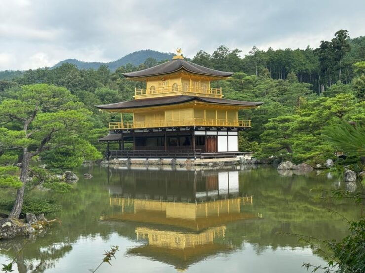 Kyoto: Must-See 6 Spots 1-Day Guided Tour Fushimi to Kinkaku - Good To Know