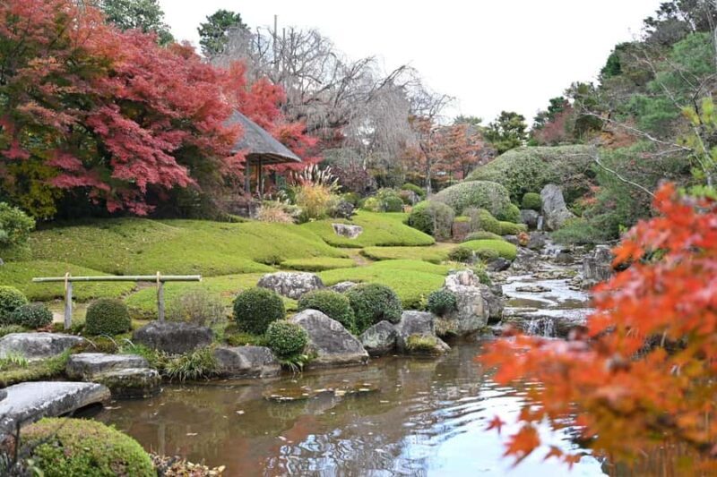 Kyoto: Myoshinji Temple Tour with Zen Cuisine & Matcha - An Experience for Curious, Reflective Travelers