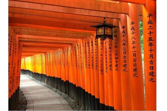 Kyoto & Nara 1 Day Private Charter Car Tour From Osaka or Kyoto - Cancellation Policy Details