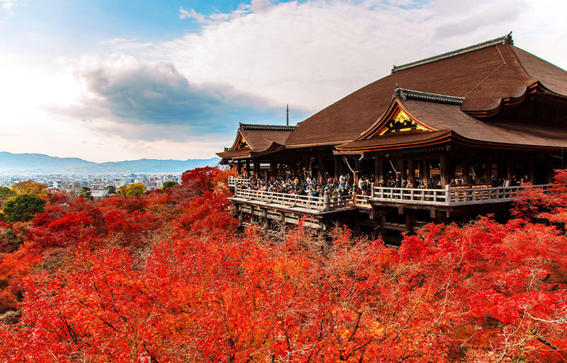 Kyoto & Nara & Amanohashidate 2-Day Tour - Free Shrimp Sticks for Feeding Seagulls (Accommodation Not Included) - Two days, from temple lanes to the northern coast