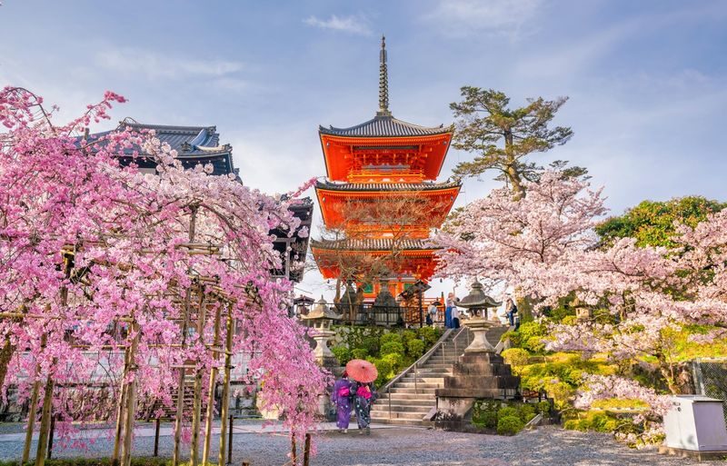 Kyoto & Nara & Amanohashidate 2-Day Tour - Free Shrimp Sticks for Feeding Seagulls (Accommodation Not Included) - Kiyomizu-dera and Kyoto’s old streets