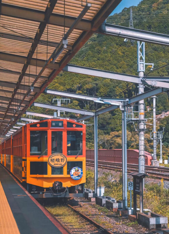Kyoto, Nara, and Arashiyama Small Group Day Tour (Optional Hotel Pick-up and Private Charter) - Who should book this tour
