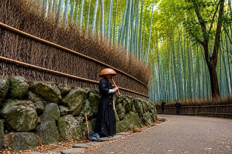 Kyoto Nara Classic Day Trip: Katsuoji Temple Daruma Wall & Arashiyama Bamboo Grove & Nara Park (Departing from Osaka) - Who should book this day trip?