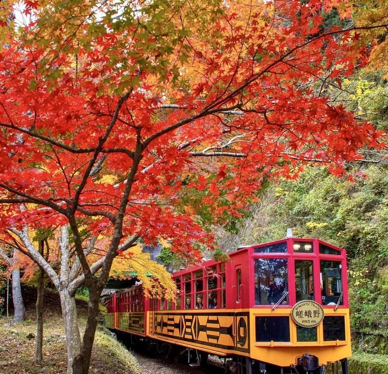 Kyoto & Nara Day Tour: Sagano Scenic Railway & Nara Park & Fushimi Inari Taisha Thousand Torii Gates & Togetsukyo Bridge & Bamboo Grove & Kimono Forest (Departing from Osaka) - Arashiyama: bridge, bamboo and Kimono Forest