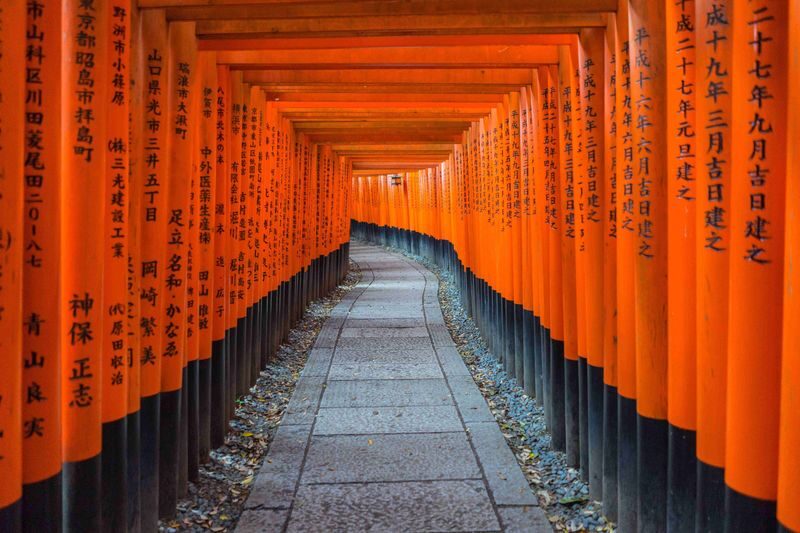 Kyoto & Nara Day Tour: Sagano Scenic Railway & Nara Park & Fushimi Inari Taisha Thousand Torii Gates & Togetsukyo Bridge & Bamboo Grove & Kimono Forest (Departing from Osaka) - The Sagano Scenic Railway: choose the ticketed package