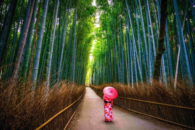 Kyoto & Nara Day Tour: Sagano Scenic Railway & Nara Park & Fushimi Inari Taisha Thousand Torii Gates & Togetsukyo Bridge & Bamboo Grove & Kimono Forest (Departing from Osaka) - What the guide and coach add to the day