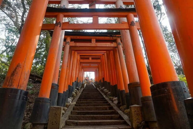 Kyoto & Nara: Day Trip Highlights Tour with a Private Car - Final Thoughts