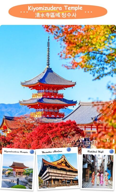 Kyoto Nara Day Trip | Kiyomizu-dera Temple + Fushimi Inari-taisha Shrine + Nara Park (Departing from Osaka/Kyoto) - Fushimi Inari’s torii corridor