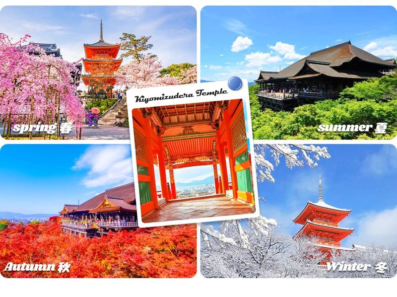 Kyoto Nara Day Trip | Kiyomizu-dera Temple + Fushimi Inari-taisha Shrine + Nara Park (Departing from Osaka/Kyoto) - Nara Park, deer and Todai-ji