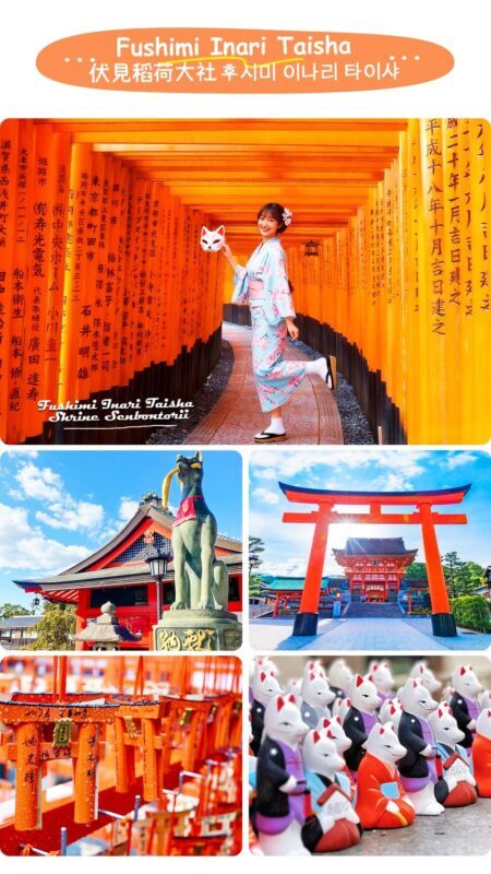 Kyoto Nara Day Trip | Kiyomizu-dera Temple + Fushimi Inari-taisha Shrine + Nara Park (Departing from Osaka/Kyoto) - Is the price good value?