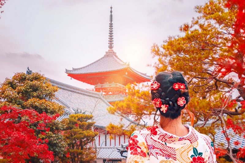 Kyoto Nara Day Trip [with Fried Chicken Set Meal] - Kiyomizu-dera Temple, Fushimi Inari-taisha Shrine, Nara Park, Todai-ji Temple Day Trip (Pick-up available in Osaka and Kyoto) - What makes this route worth considering