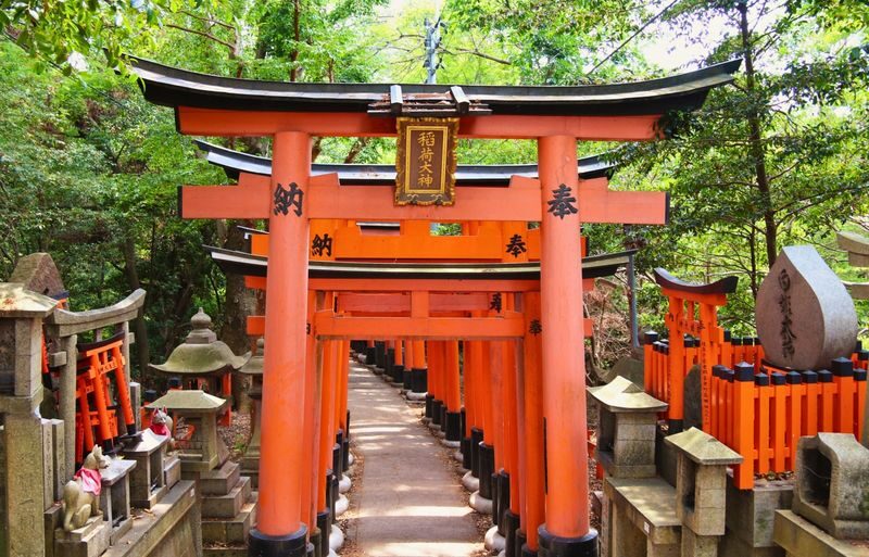 Kyoto Nara Day Trip [with Fried Chicken Set Meal] - Kiyomizu-dera Temple, Fushimi Inari-taisha Shrine, Nara Park, Todai-ji Temple Day Trip (Pick-up available in Osaka and Kyoto) - Todai-ji: the Great Buddha Hall