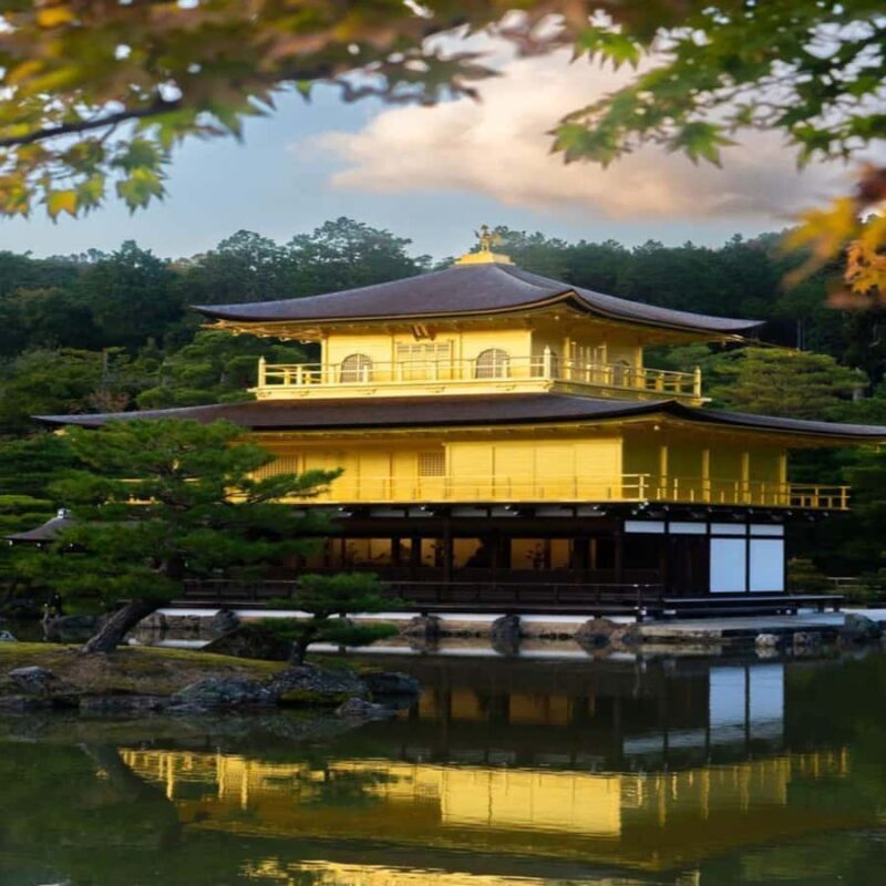 Kyoto & Nara: Full-Day Private Guided Tour with Hotel Pickup - In The Sum Up