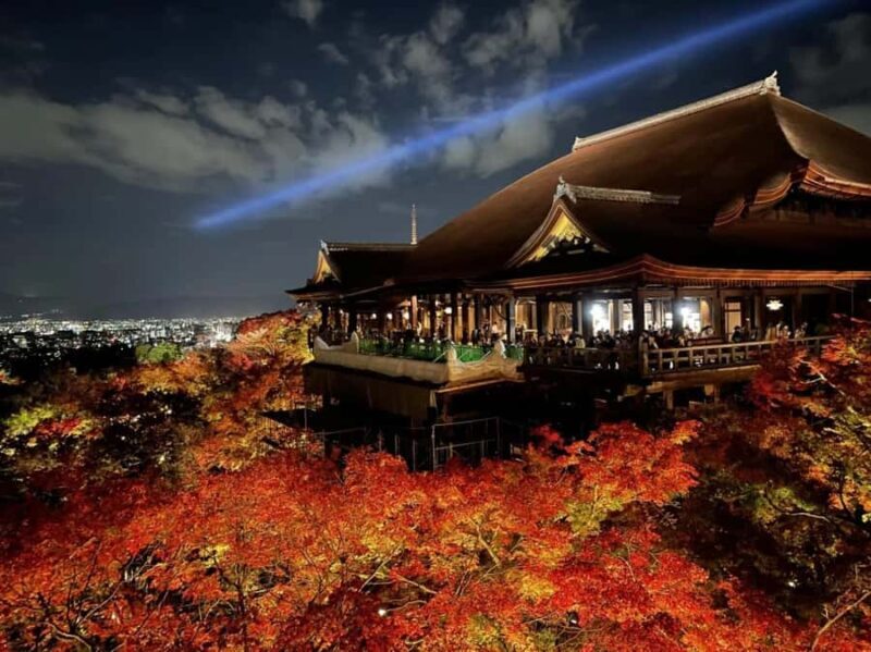 Kyoto & Nara: Full-Day Private Guided Tour with Hotel Pickup - A Thorough Look at the Experience