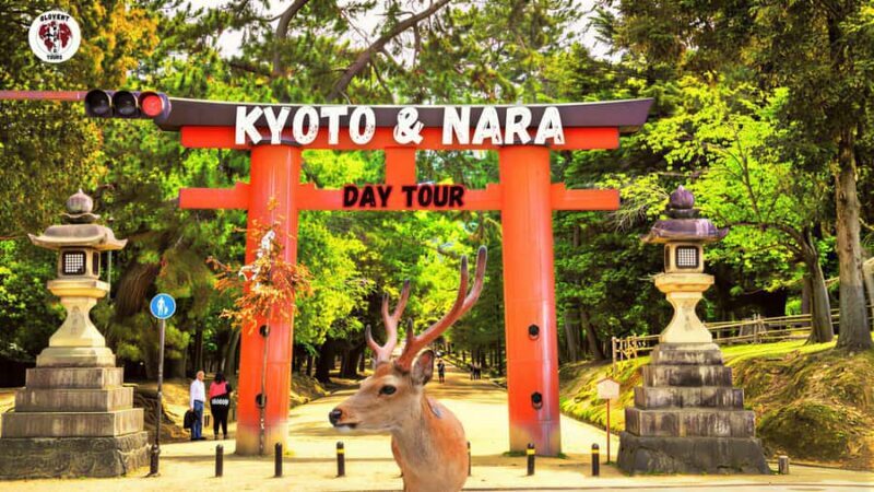 Kyoto & Nara: Full-Day Private Guided Tour with Hotel Pickup - Why Choose This Tour?
