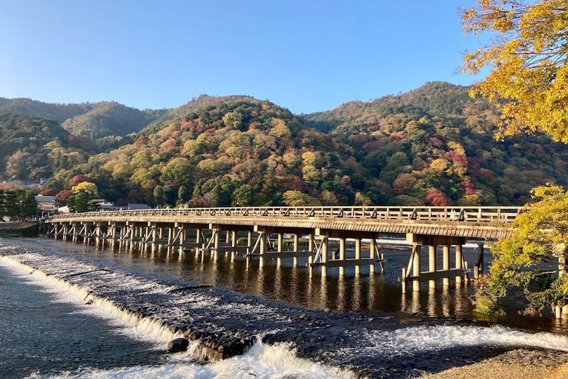 Kyoto & Nara Full-Day Private Guided Tour with Transfers - What the guide may add, and what to confirm