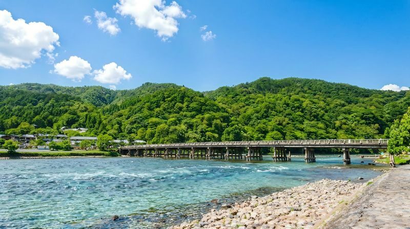 Kyoto & Nara Historical and Cultural Scenic Day Tour: Arashiyama Scenic Railway & Fushimi Inari-taisha Shrine Senbon Torii & Nara Park & Togetsukyo Bridge & Bamboo Grove Path & Kimono Forest (Departing from Osaka or Kyoto) - Should You Add the Sagano Scenic Railway?