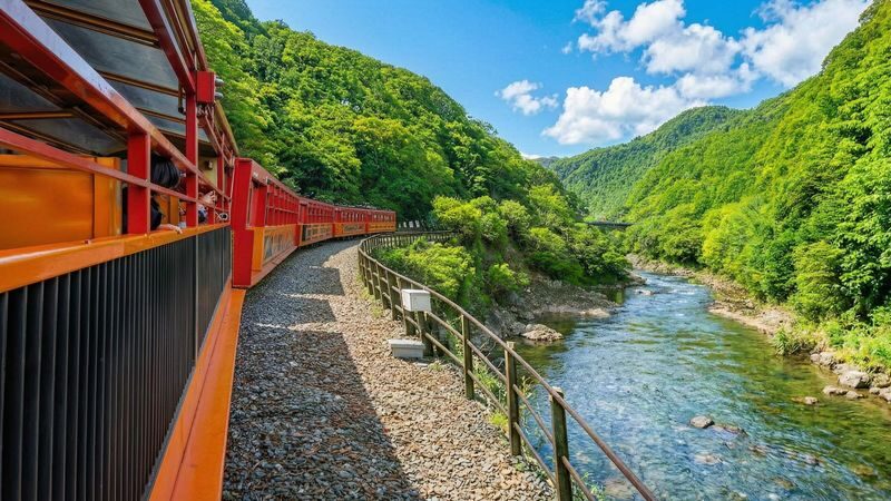 Kyoto & Nara Historical and Cultural Scenic Day Tour: Arashiyama Scenic Railway & Fushimi Inari-taisha Shrine Senbon Torii & Nara Park & Togetsukyo Bridge & Bamboo Grove Path & Kimono Forest (Departing from Osaka or Kyoto) - Price, Pace and Practical Details