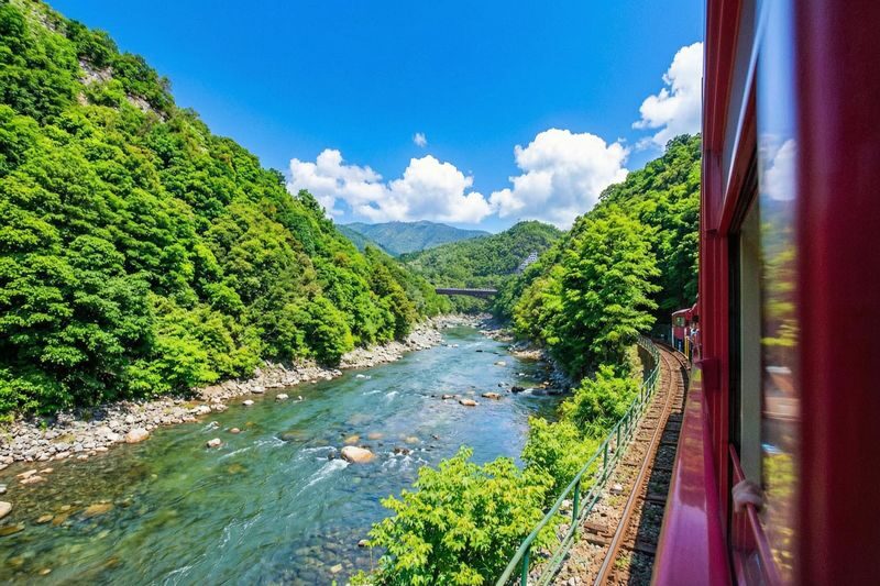 Kyoto & Nara Historical and Cultural Scenic Day Tour: Arashiyama Scenic Railway & Fushimi Inari-taisha Shrine Senbon Torii & Nara Park & Togetsukyo Bridge & Bamboo Grove Path & Kimono Forest (Departing from Osaka or Kyoto) - Who Should Book This Kyoto and Nara Tour?