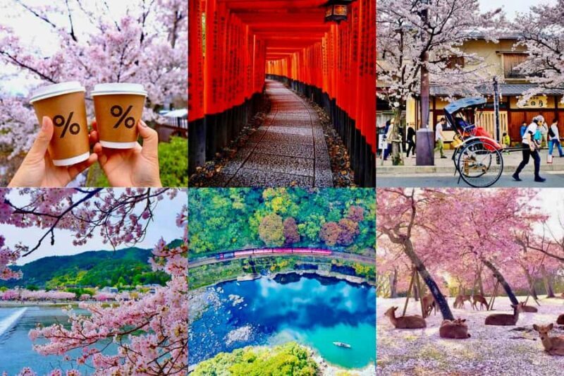 Kyoto/Nara: Must-see Spots in One Day Tour with Hotel Pickup - Who Is This Tour Best Suited For?