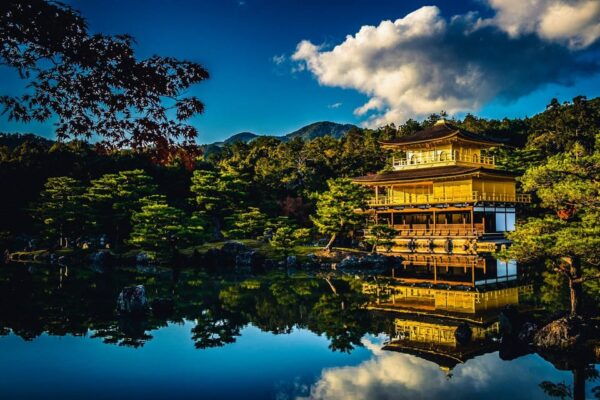 Kyoto: Nara or Osaka Private Customized English Guided Trip - Inclusions and Benefits