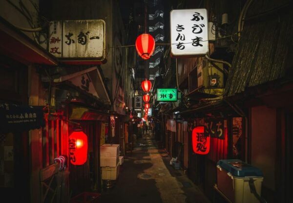 Kyoto: Nara or Osaka Private Customized English Guided Trip - Communication and Support