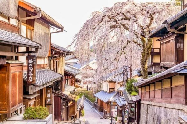 Kyoto: Nara or Osaka Private Customized English Guided Trip - Customer Reviews