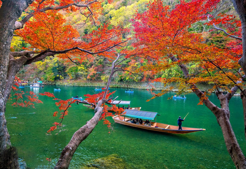 Kyoto & Nara Park & Arashiyama Day Trip (Optional Departure from Osaka or Kyoto) - Nara Park and its famous deer