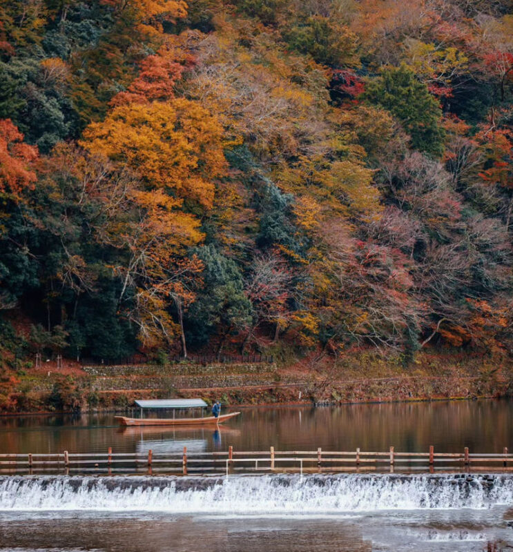 Kyoto & Nara Park & Arashiyama Day Trip (Optional Departure from Osaka or Kyoto) - Who will enjoy this trip most