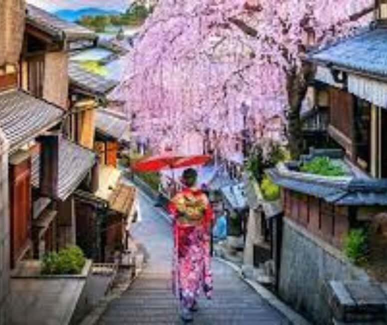 Kyoto & Nara Private Customized, Guided Tour - Final Thoughts