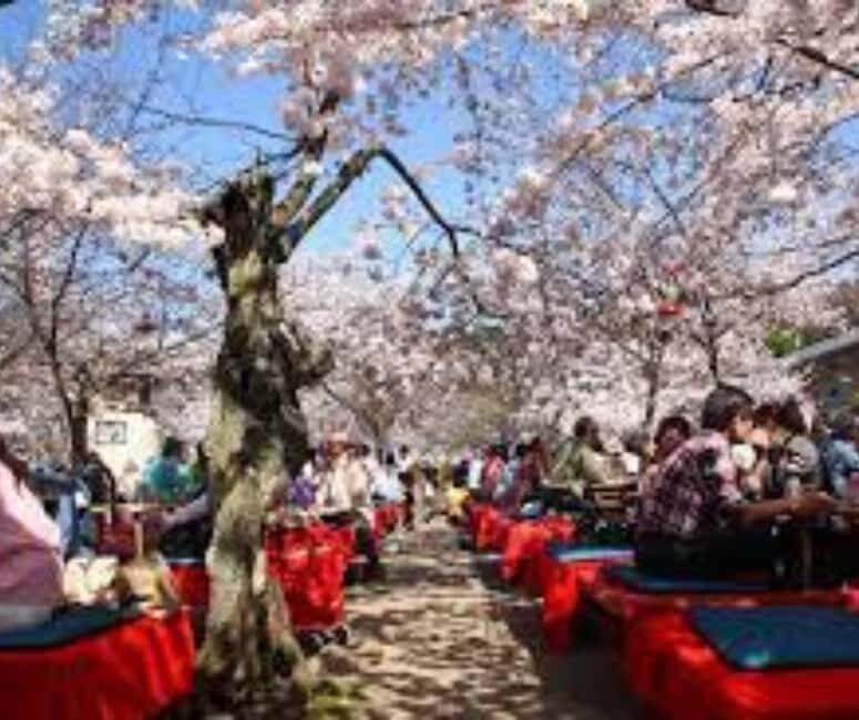 Kyoto & Nara Private Customized, Guided Tour - FAQ