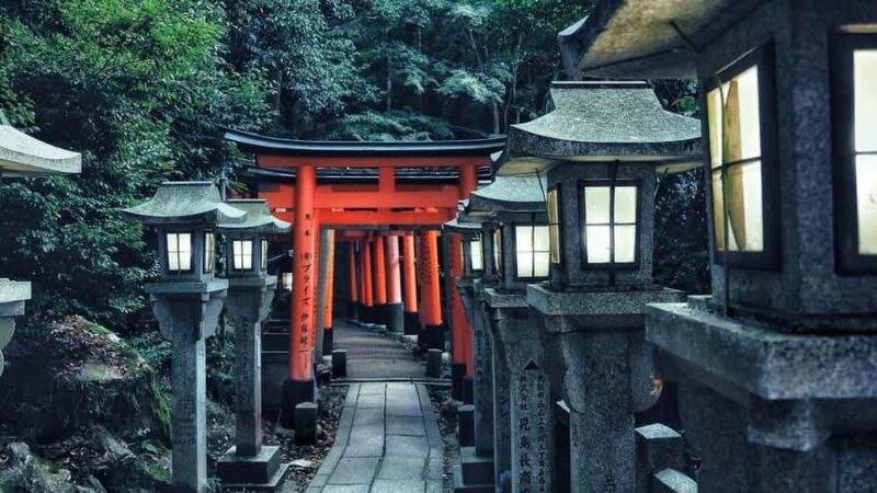 Kyoto & Nara: Private Day Customized Tour in Luxury Vehicle - Why This Tour Offers Real Value