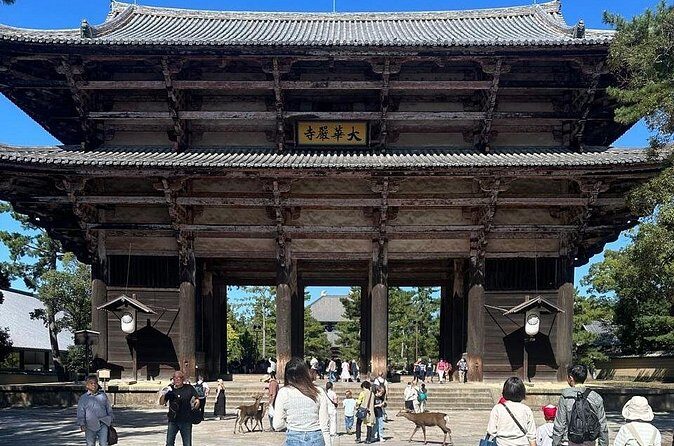 Kyoto & Nara: Private Day Tour by luxury Vehicle & English Guide - Who Is This Tour Best For?