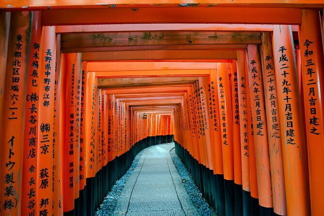 Kyoto & Nara Private Day Tour - An In-Depth Look at What This Tour Offers