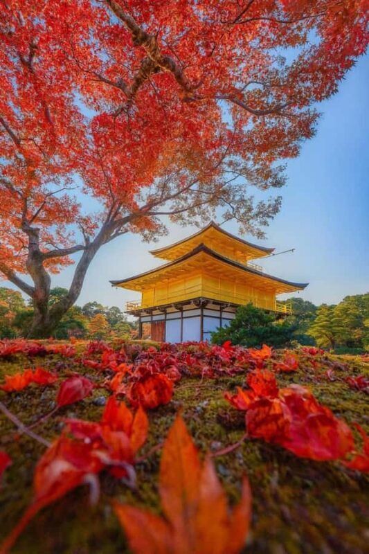 Kyoto & Nara: Private Guided Day Trip by Car with Pickup - FAQs