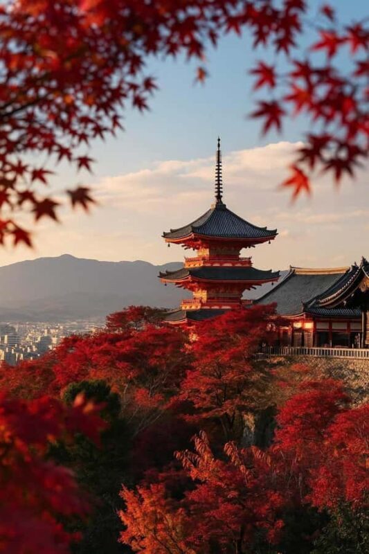 Kyoto & Nara: Private Guided Day Trip by Car with Pickup - The Value of a Private, Guided Day Trip