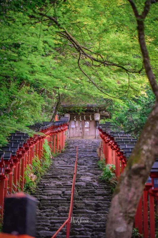 Kyoto & Nara: Private Guided Tour on Green Licensed Alphard - Who Would Love This Tour?