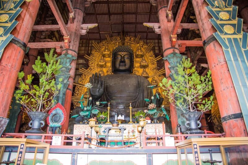 Kyoto: Nara, Todaiji, Kasuga Taisha Shrine Private Full Day - Is This Tour Right for You?